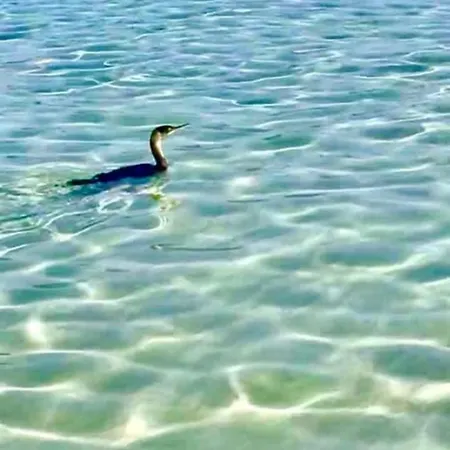 Le Peonie فندق مبيت وإفطار ألغيرو