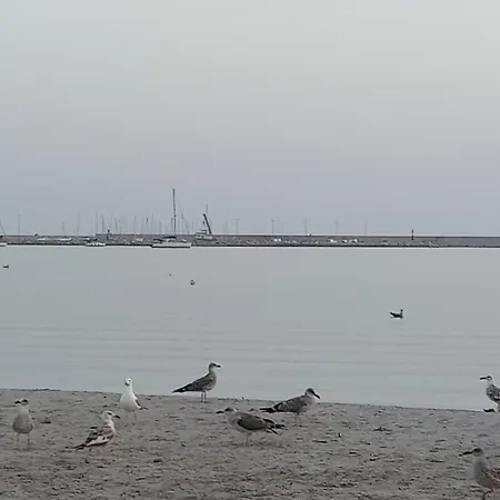 Le Peonie ألغيرو